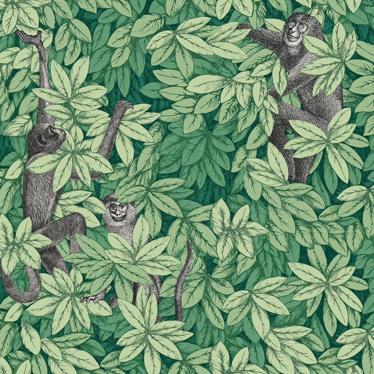 Cole &amp; Son &#39;Foglie e Scimmie - Forest Green&#39; Wallpaper