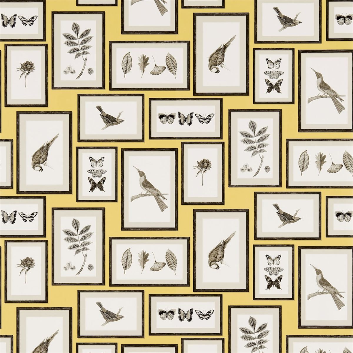 Sanderson &#39;Picture Gallery - Yellow/Charcoal&#39; Wallpaper