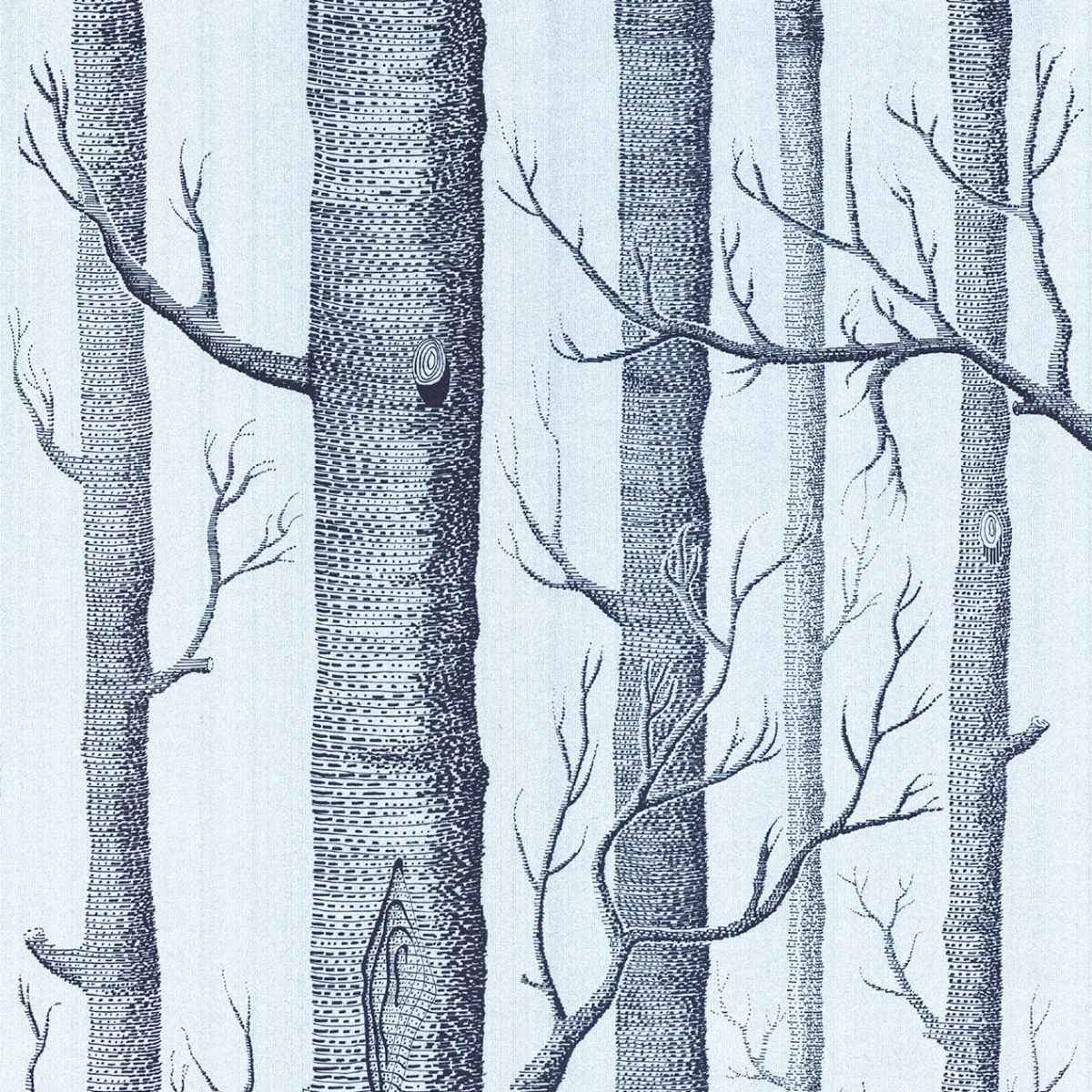 Cole &amp; Son &#39;Woods - Soot on Foil&#39; Wallpaper