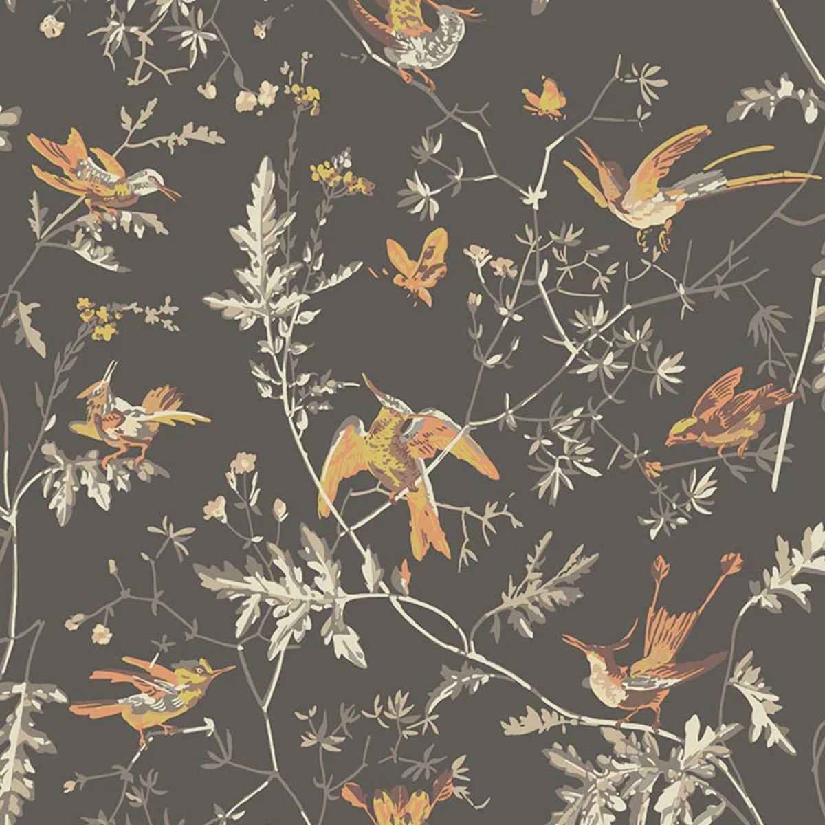 Cole &amp; Son &#39; Hummingbirds - Charcoal &amp; Ginger&#39; Wallpaper