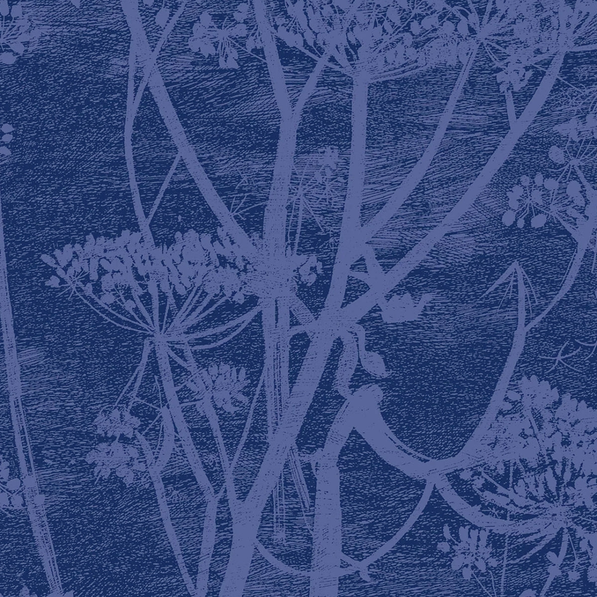 Cole &amp; Son &#39;Cow Parsley Velvet - Hyacinth &amp; Ink&#39; Fabric