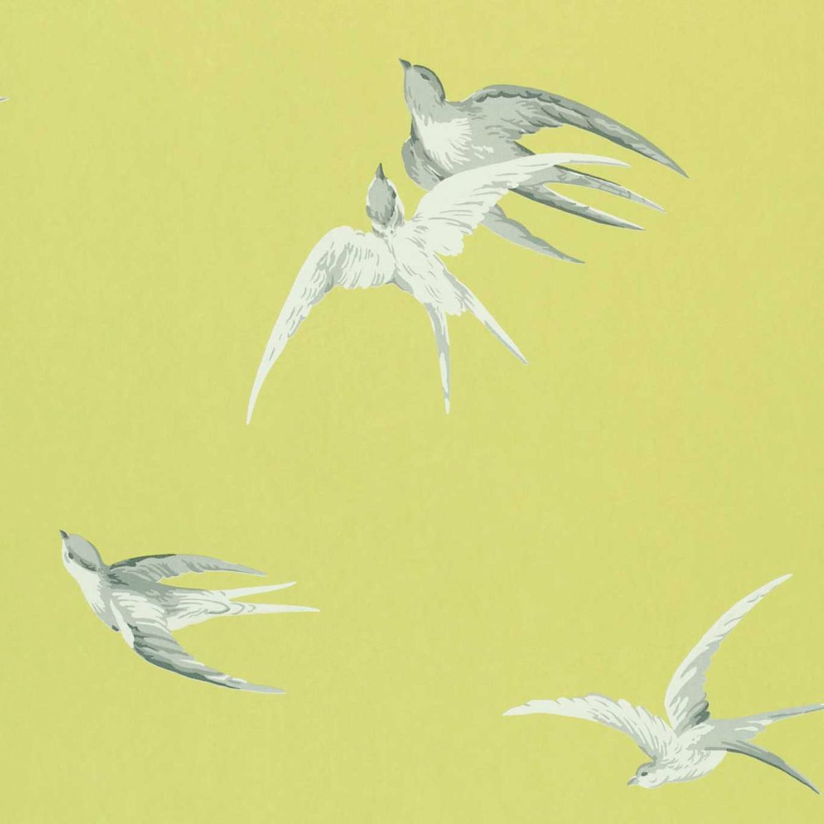 Sanderson &#39;Swallows - Lime&#39; Wallpaper