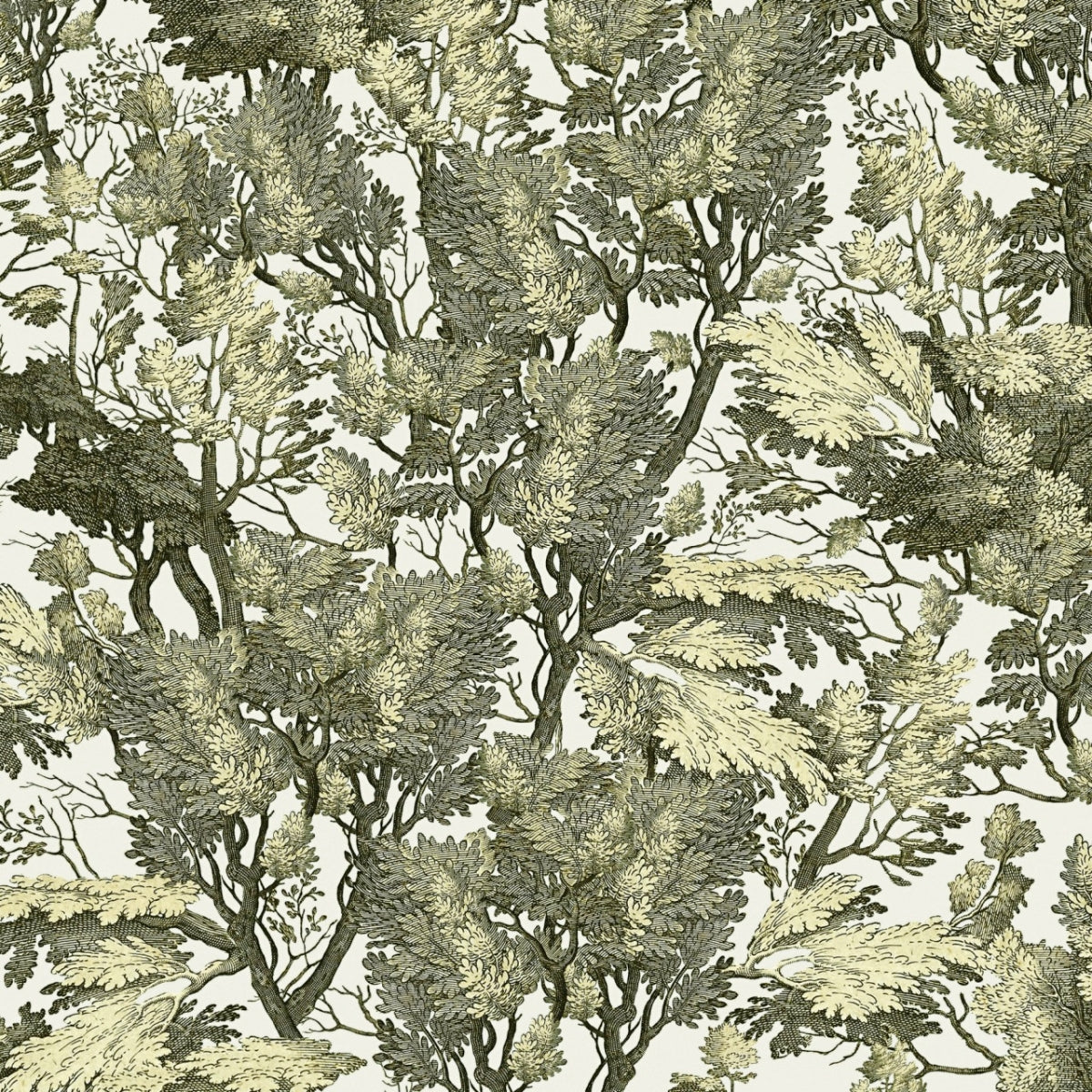 Mind The Gap - Tree Foliage Wallpaper