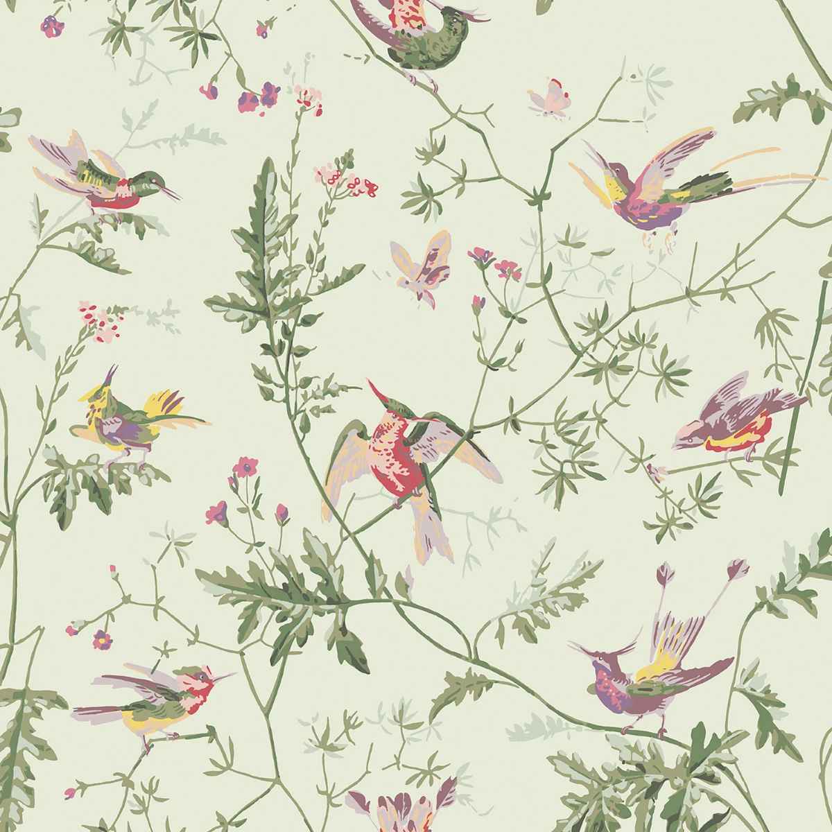 Cole &amp; Son &#39; Hummingbirds - Multi, Old Olive on Eau Du Nil&#39; Wallpaper
