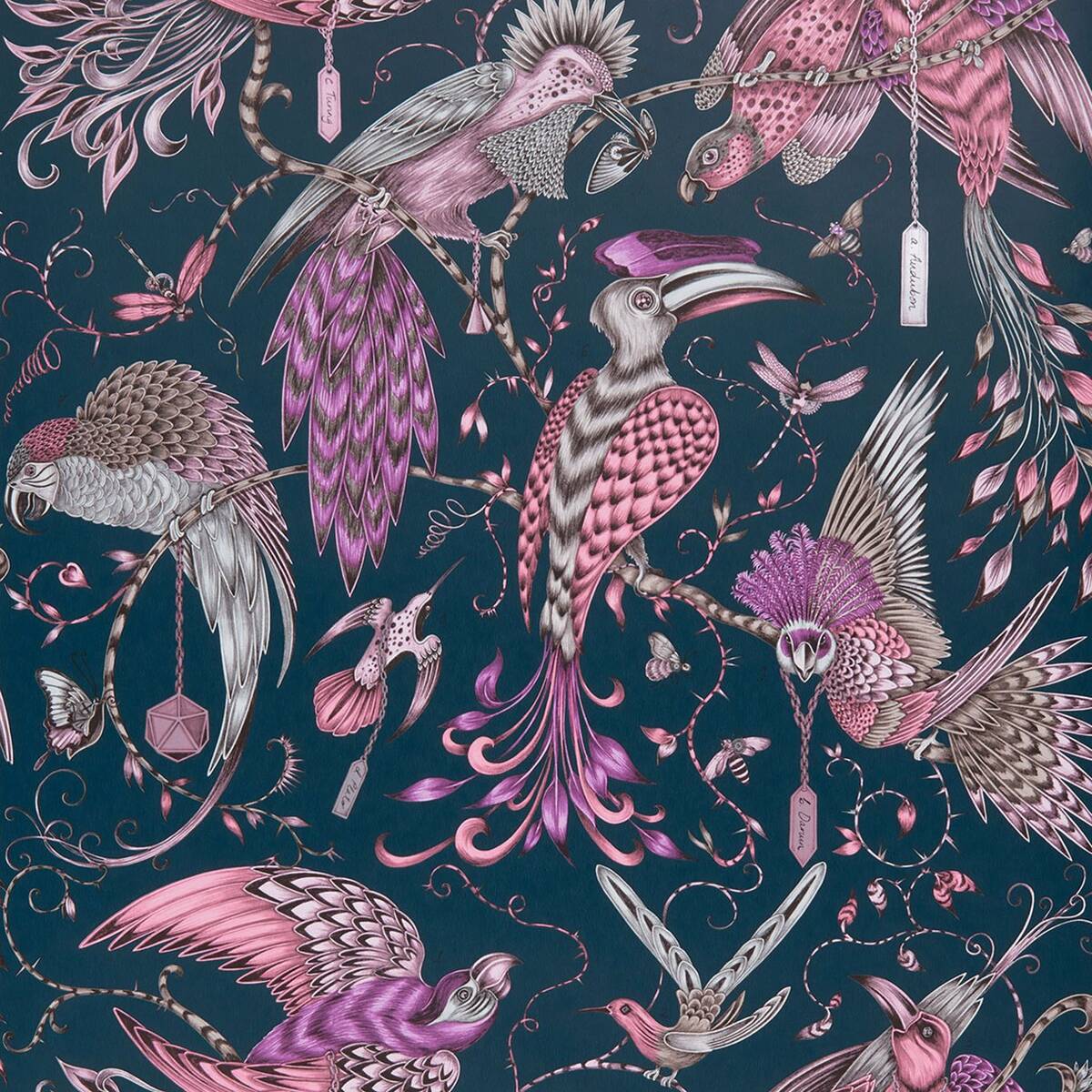 Clarke &amp; Clarke X Emma Shipley &#39;Audubon - Pink&#39; Wallpaper