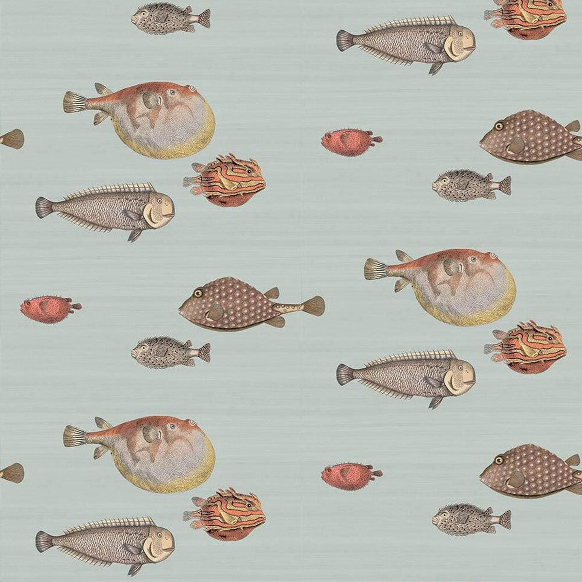 Cole &amp; Son &#39;Acquario Seafoam&#39; Wallpaper