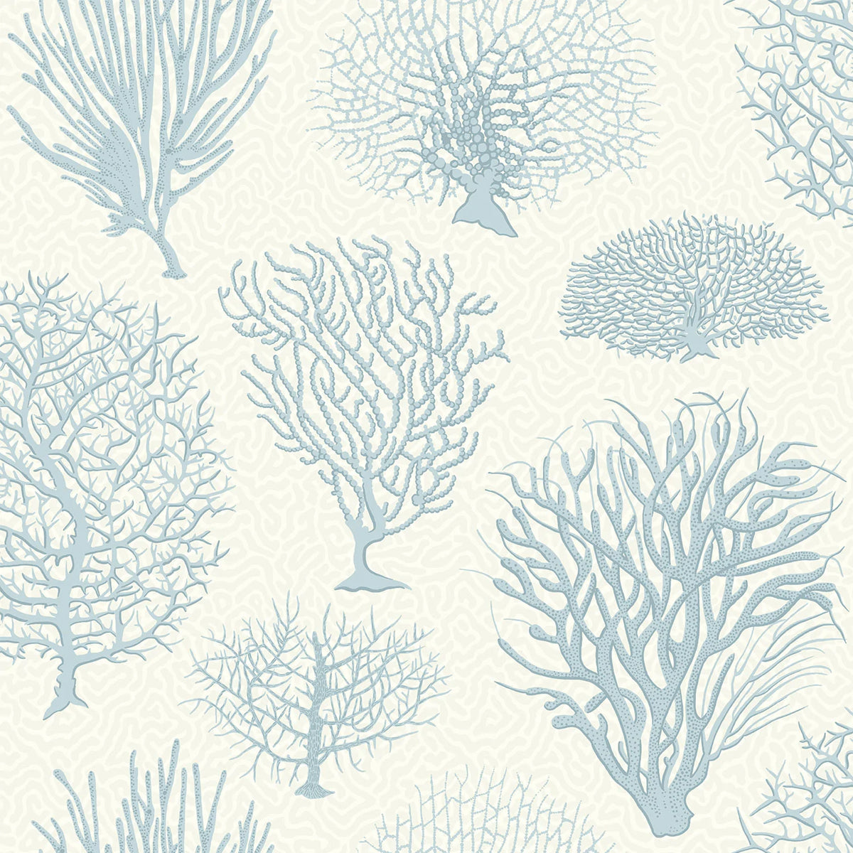Cole &amp; Son &#39;Seafern Ice Blue on Chalk&#39; Wallpaper