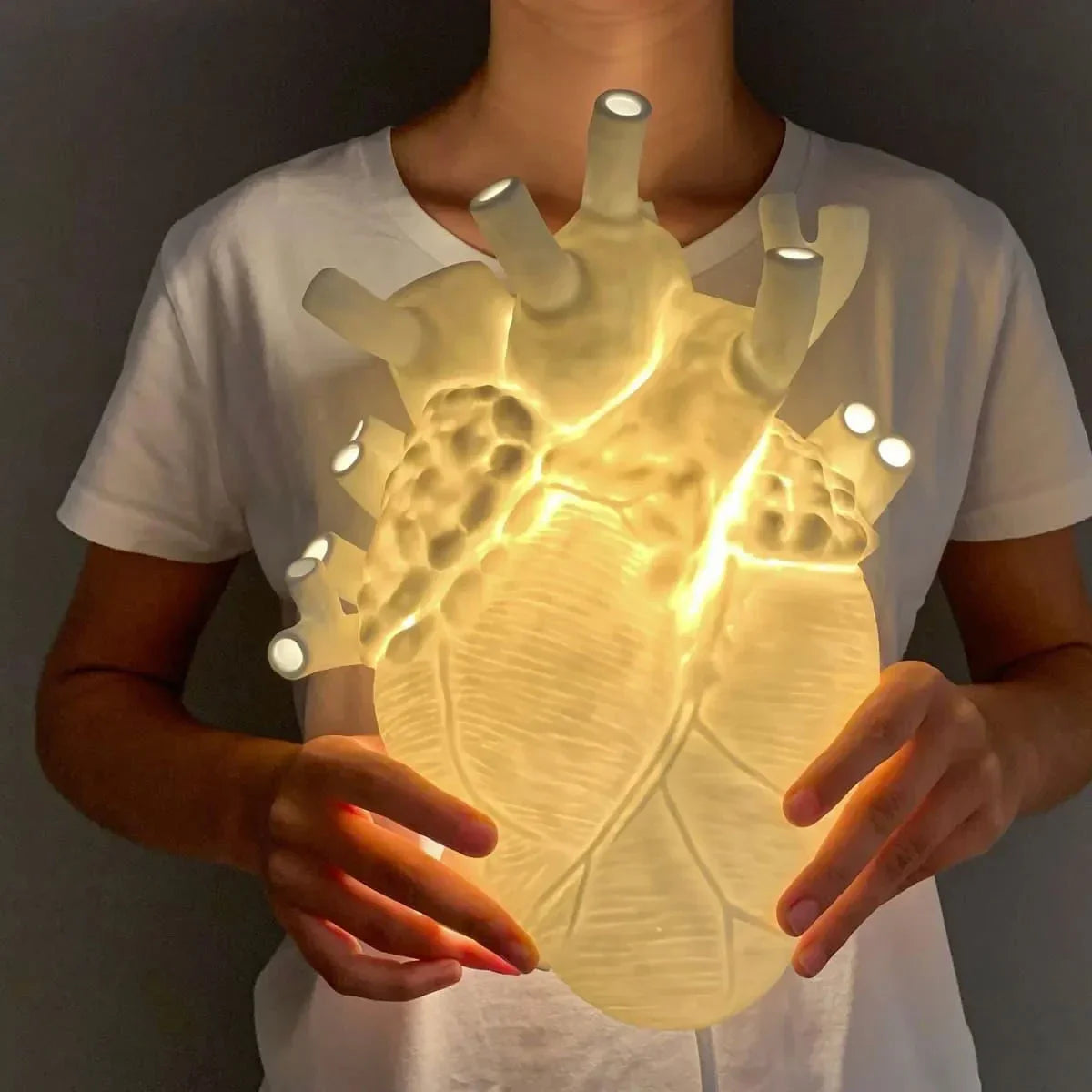 Unveiling Design Marvels: Exploring the World of Courthouse Interiors