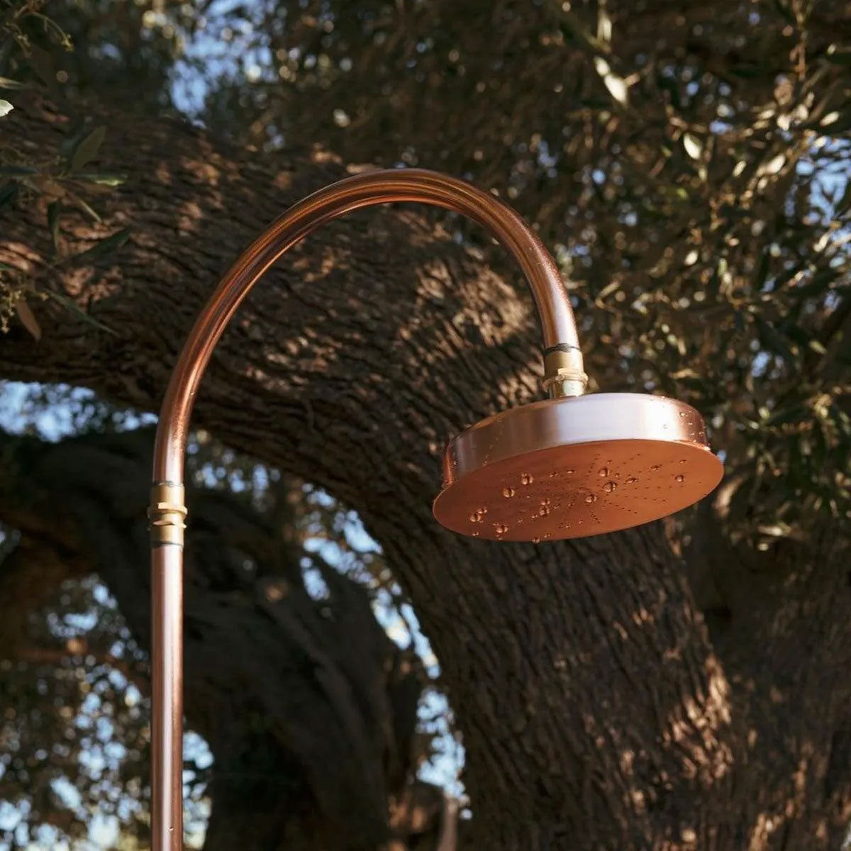 Embrace Luxury and Innovation: Introducing the Seletti Aquart Shower