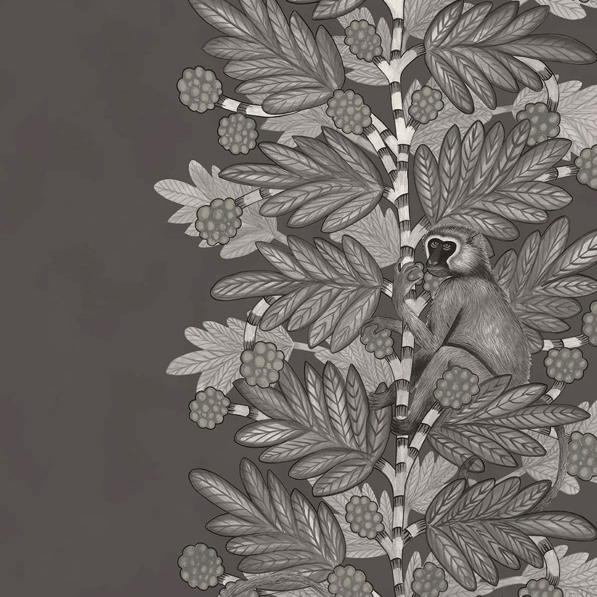 Acacia Wallpaper - Cole & Son