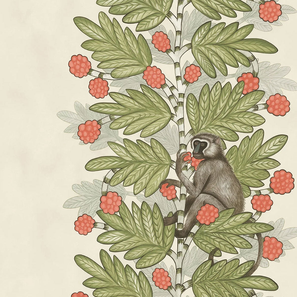 Acacia Wallpaper - Cole & Son