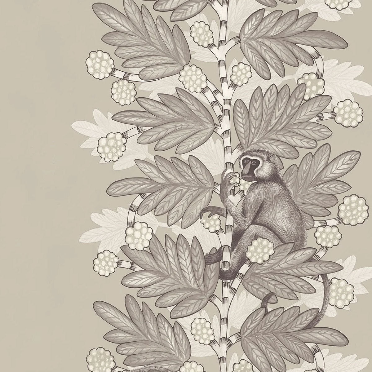 Acacia Wallpaper - Cole & Son