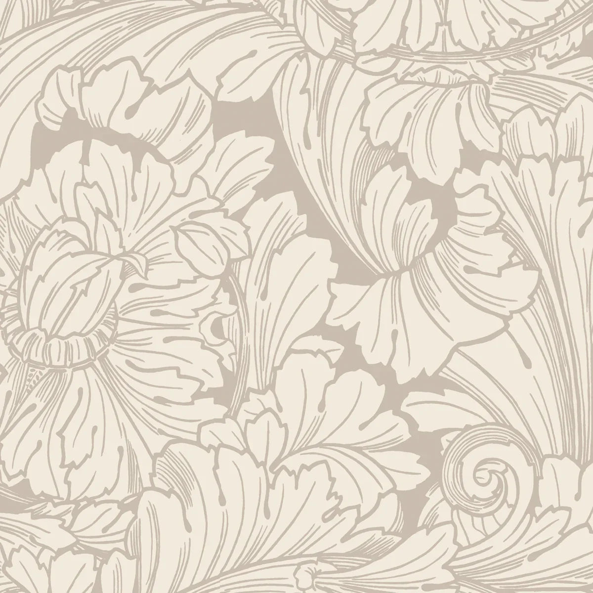 Acanthus Wallpaper - Cole & Son