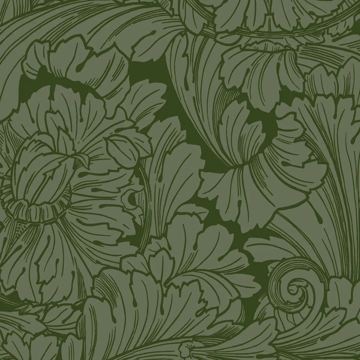 Acanthus Wallpaper - Cole & Son