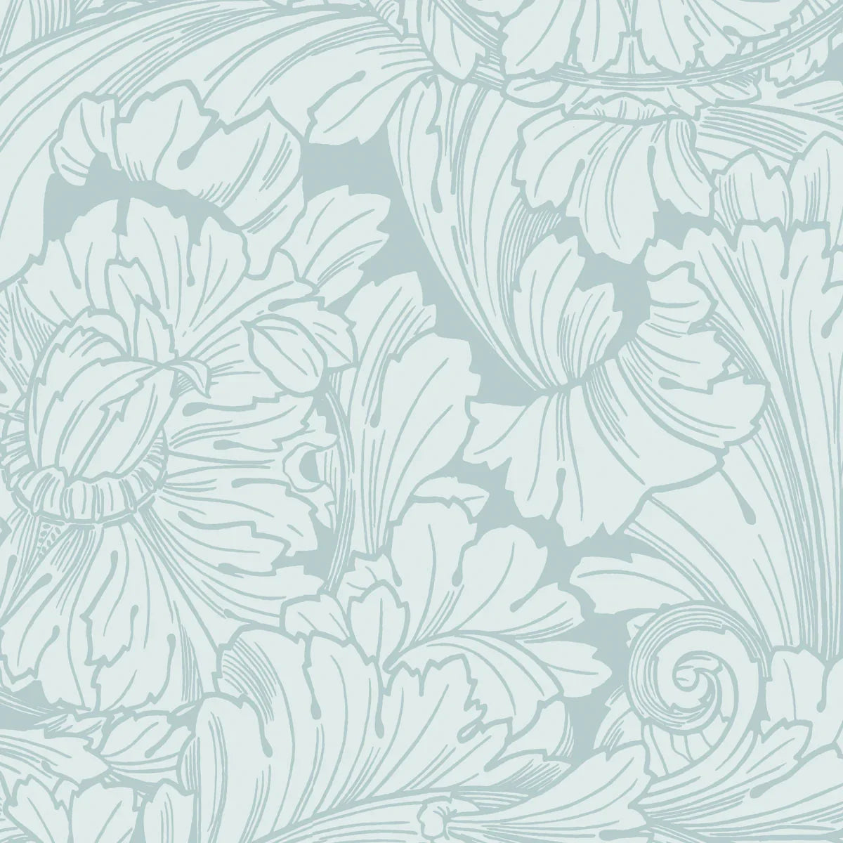 Acanthus Wallpaper - Cole & Son