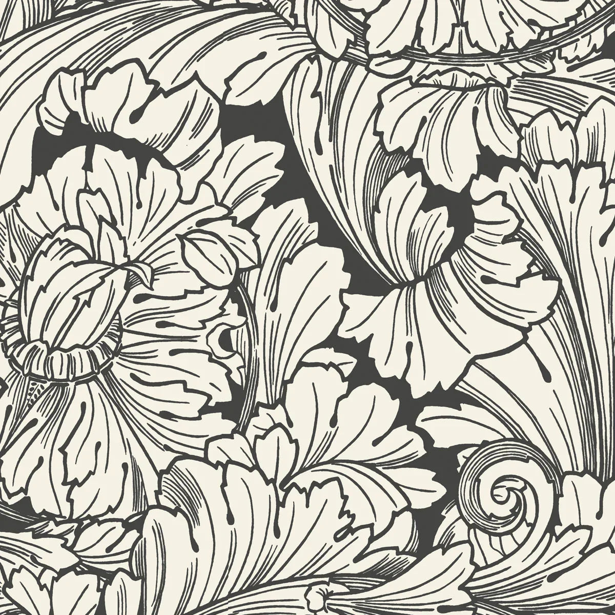 Acanthus Wallpaper - Cole & Son