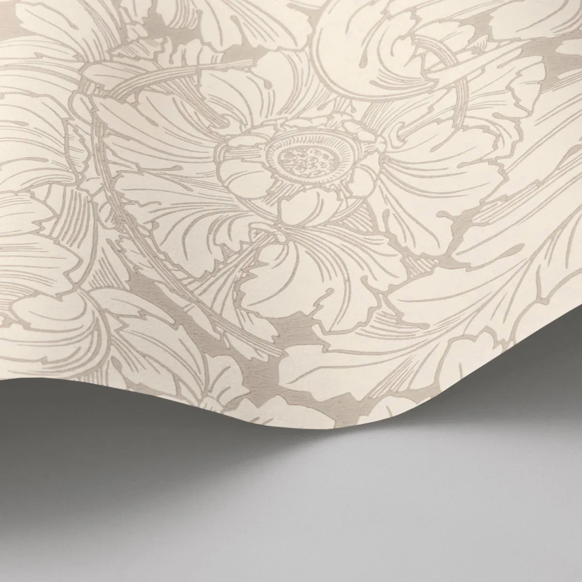 Acanthus Wallpaper - Cole & Son