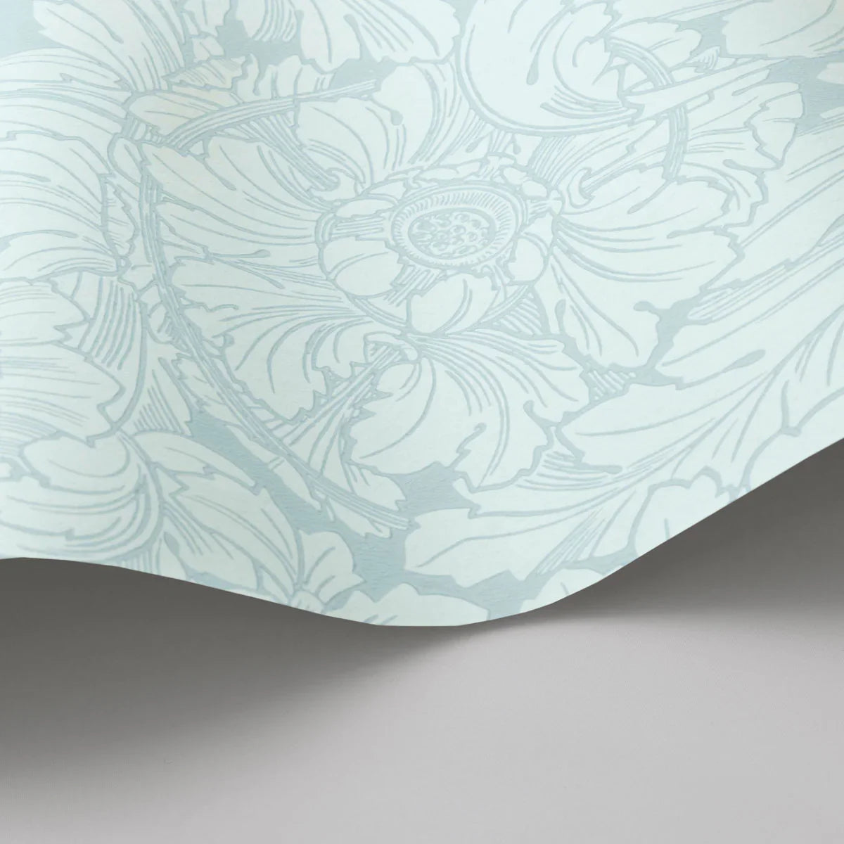 Acanthus Wallpaper - Cole & Son