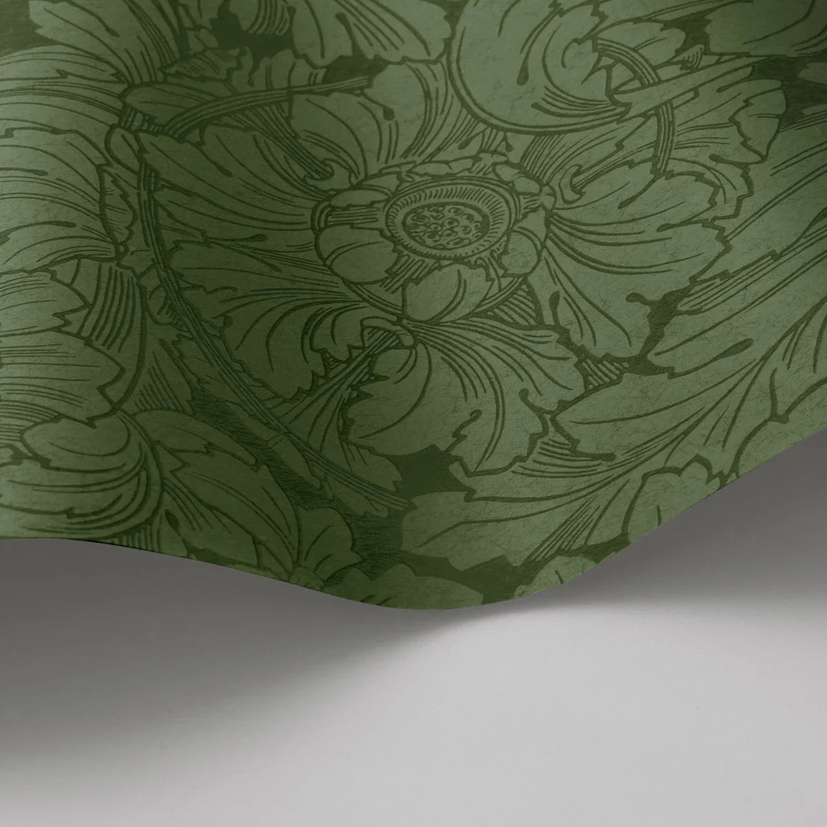 Acanthus Wallpaper - Cole & Son