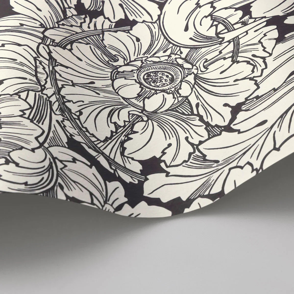 Acanthus Wallpaper - Cole & Son
