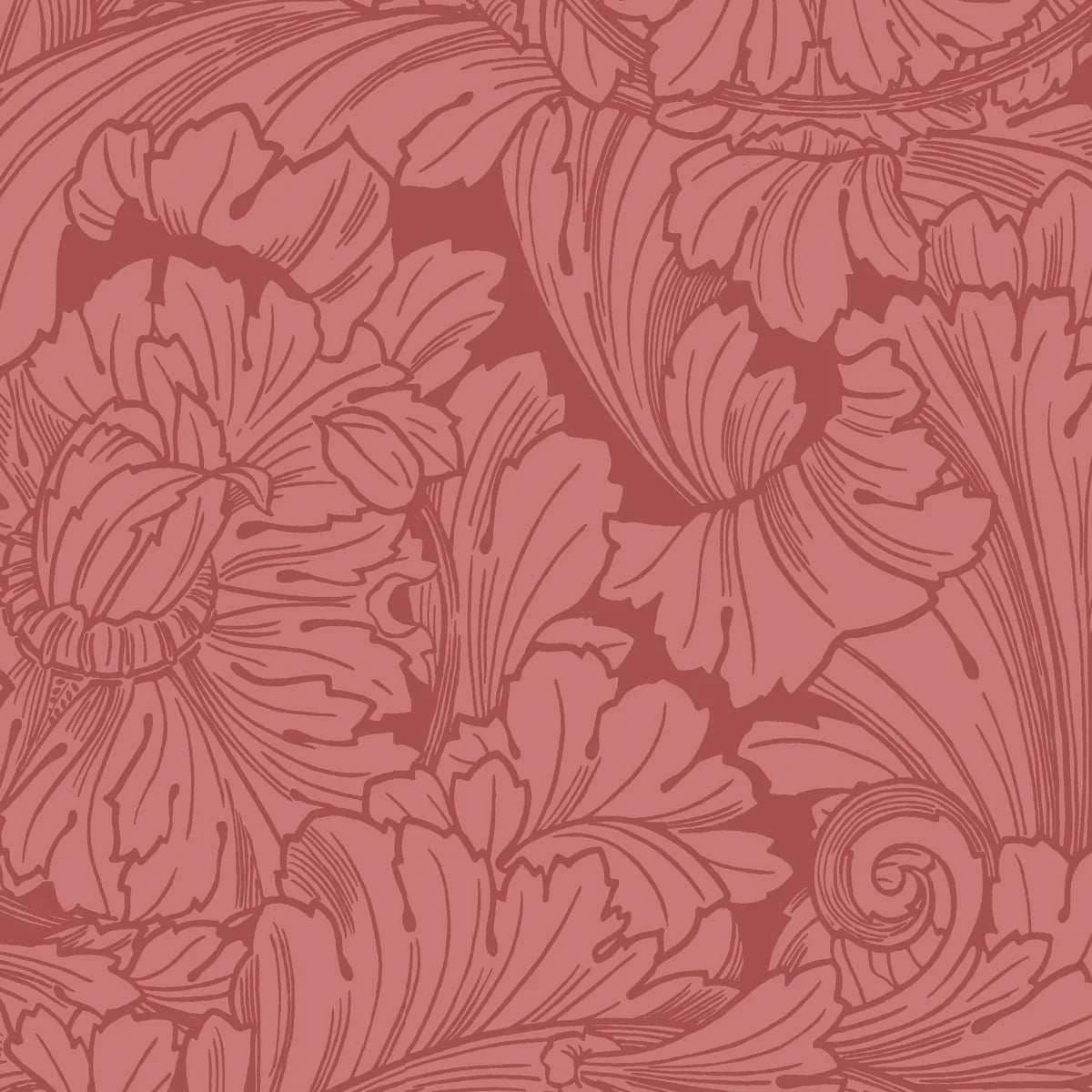 Acanthus Wallpaper - Cole & Son