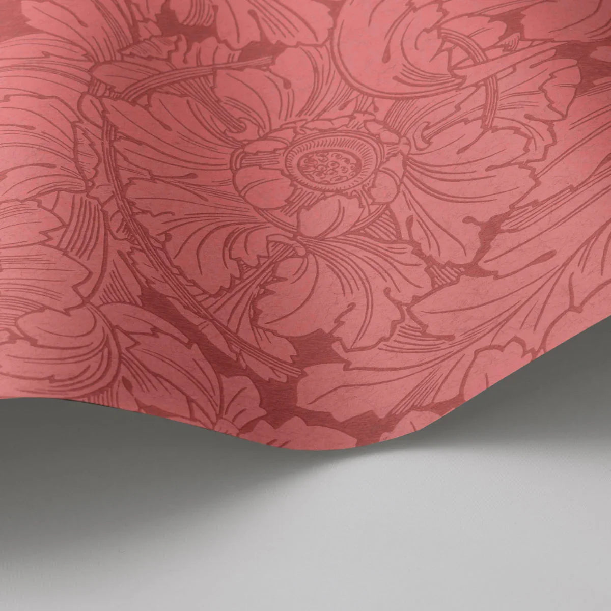 Acanthus Wallpaper - Cole & Son