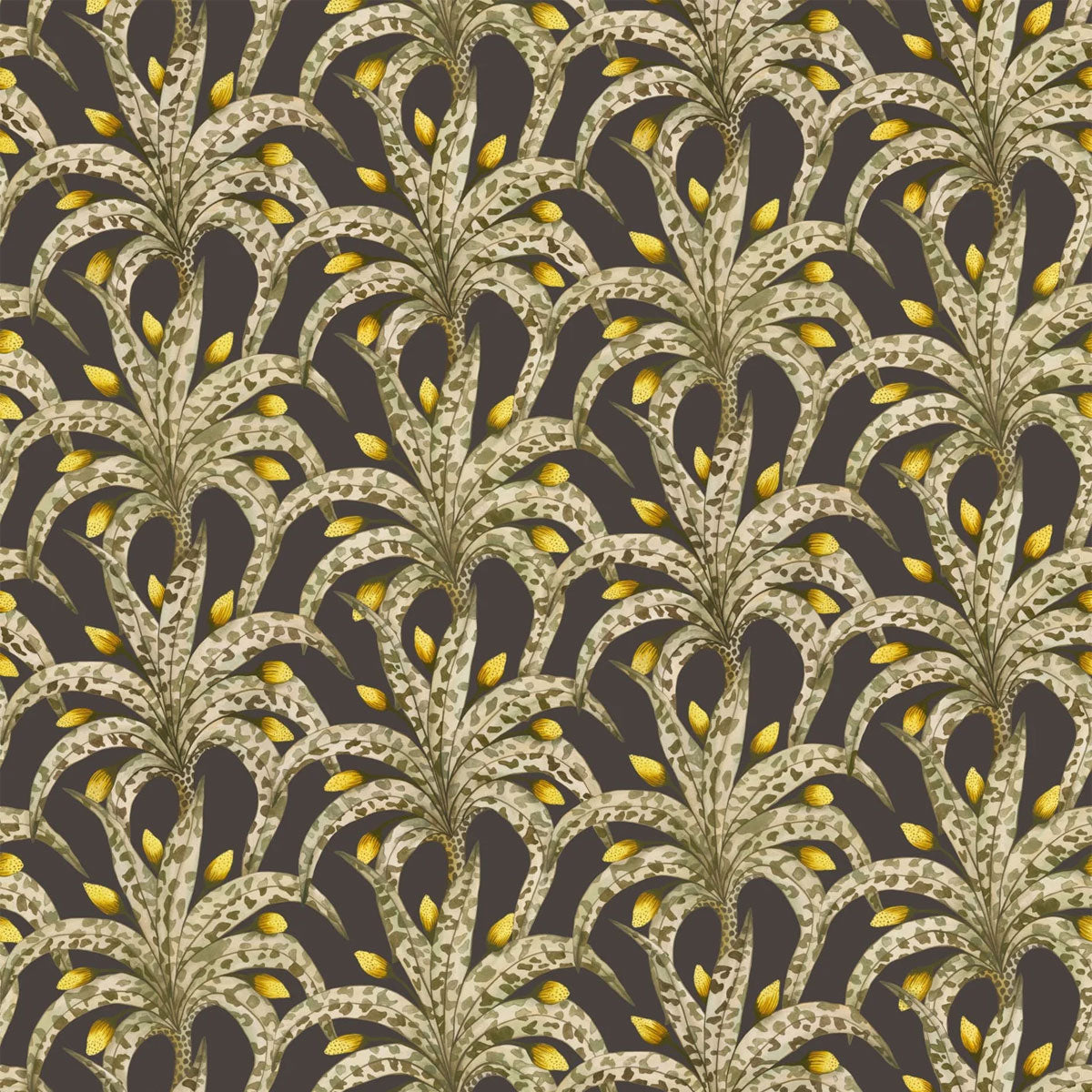 Afrika Damask Wallpaper - Cole & Son
