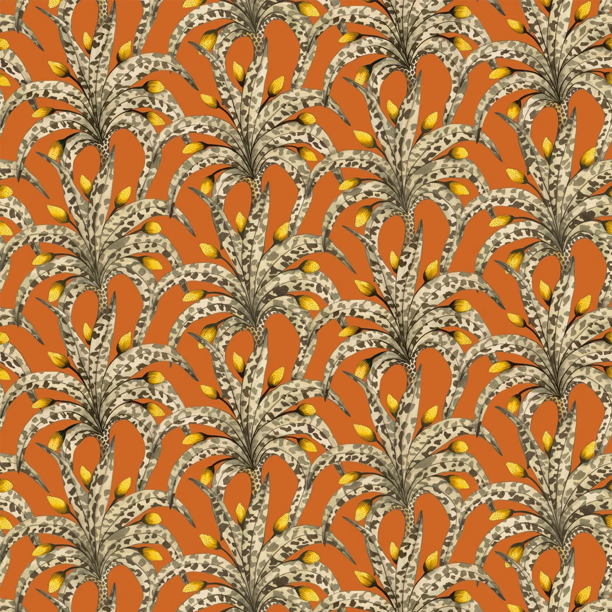 Afrika Damask Wallpaper - Cole & Son