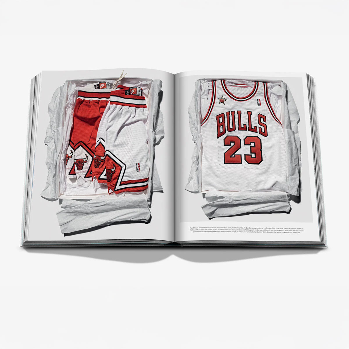 Air Jordan (Classic) - Assouline