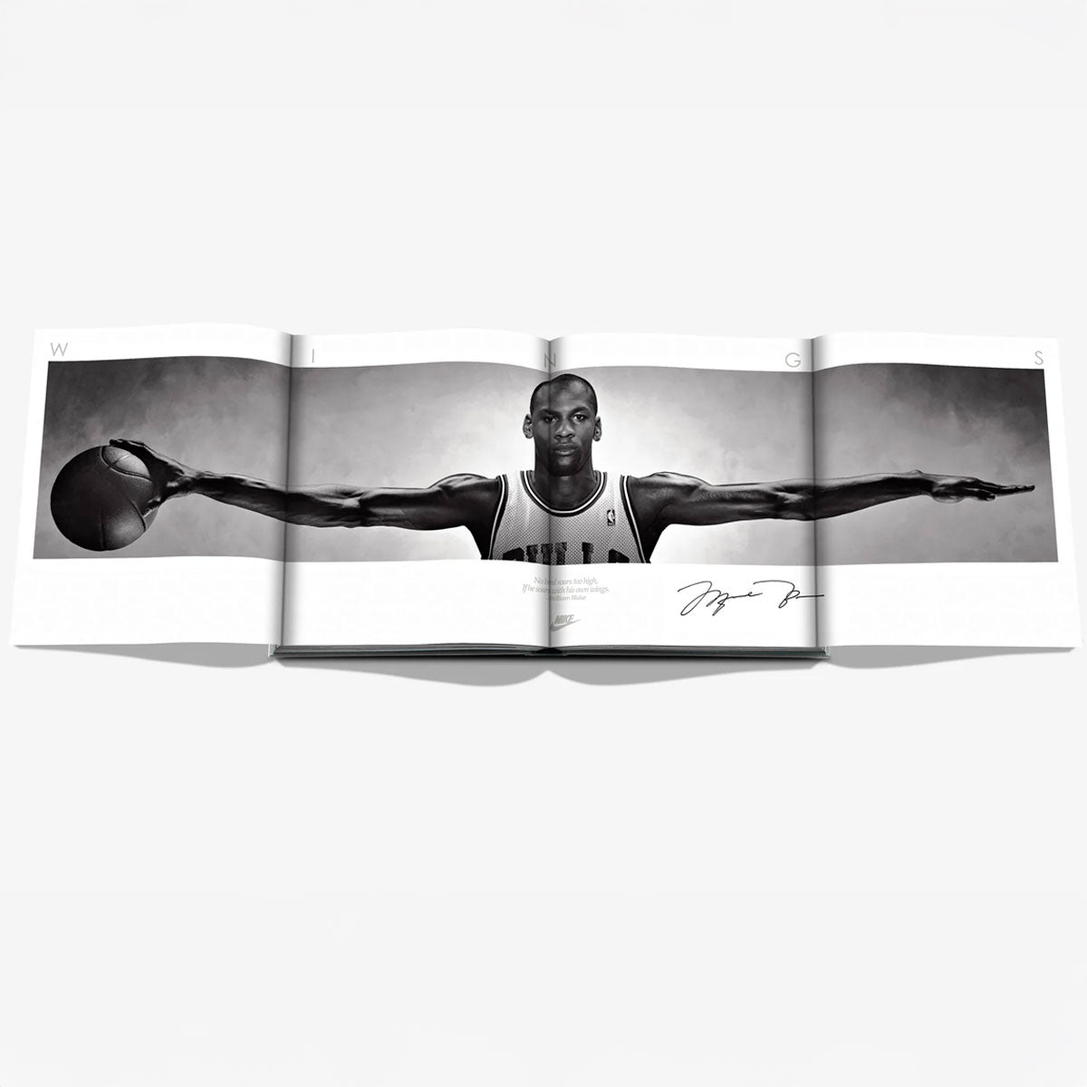 Air Jordan (Classic) - Assouline
