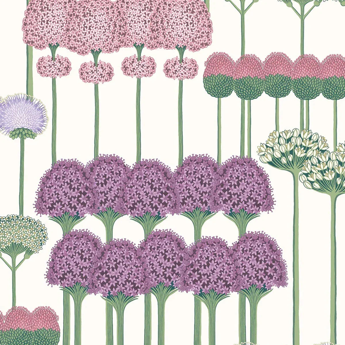 Allium Wallpaper - Cole & Son