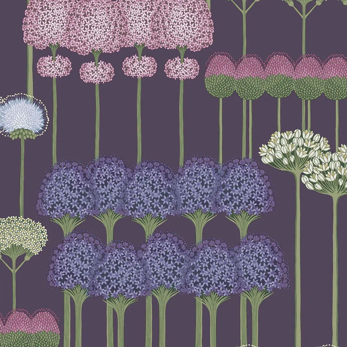 Allium Wallpaper - Cole & Son