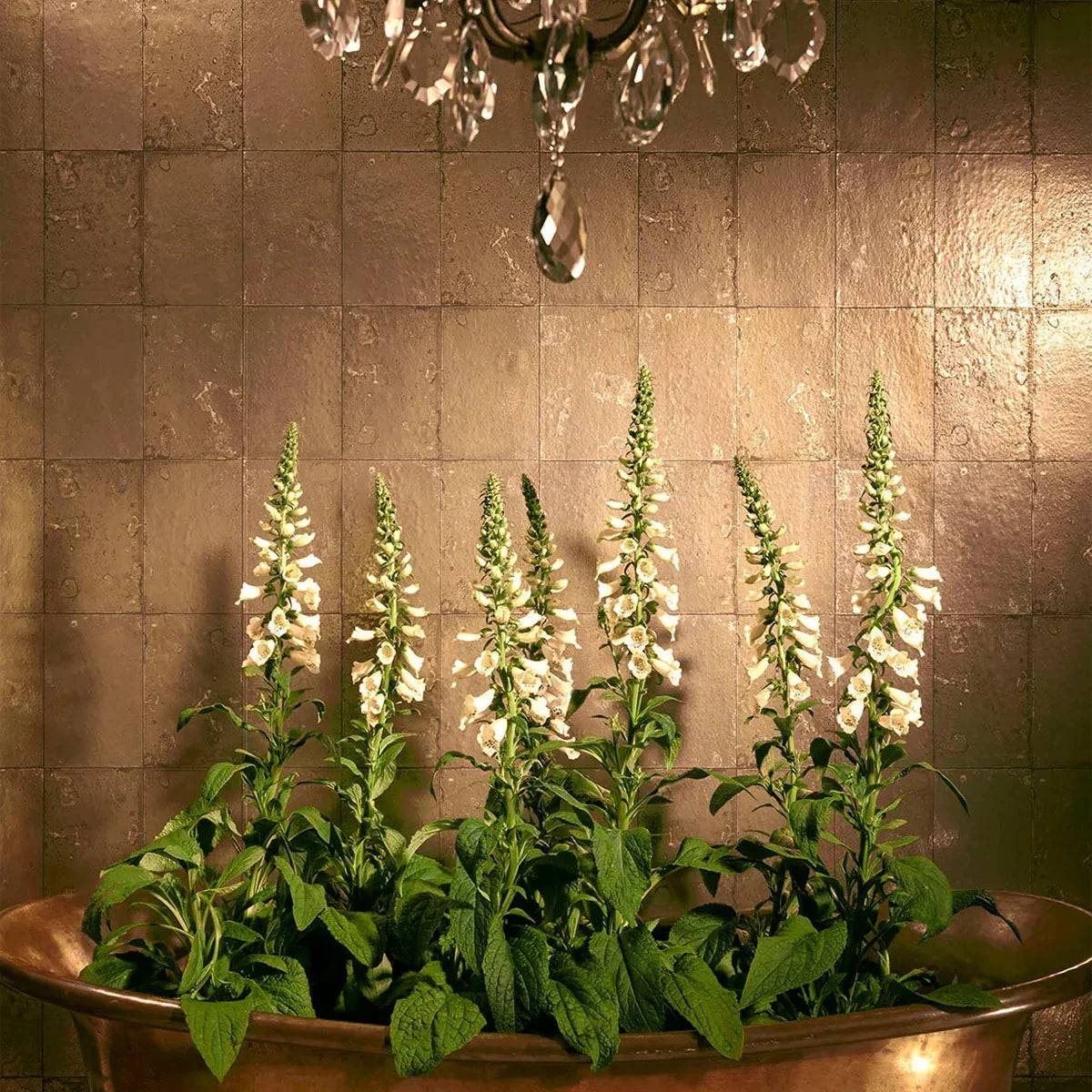 Antique Mirror Wallpaper - Cole & Son