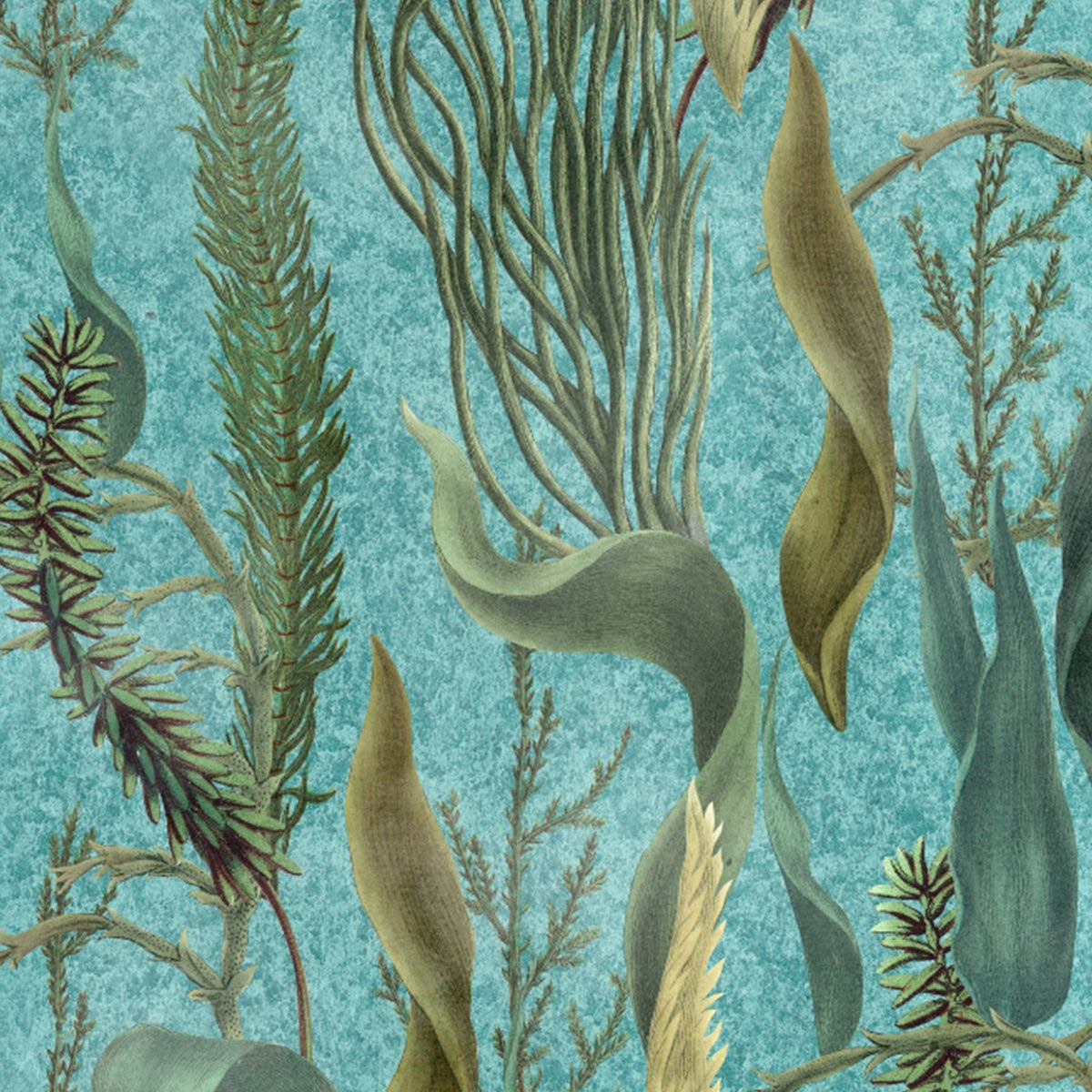 Mind The Gap Aquatic Plants Wallpaper