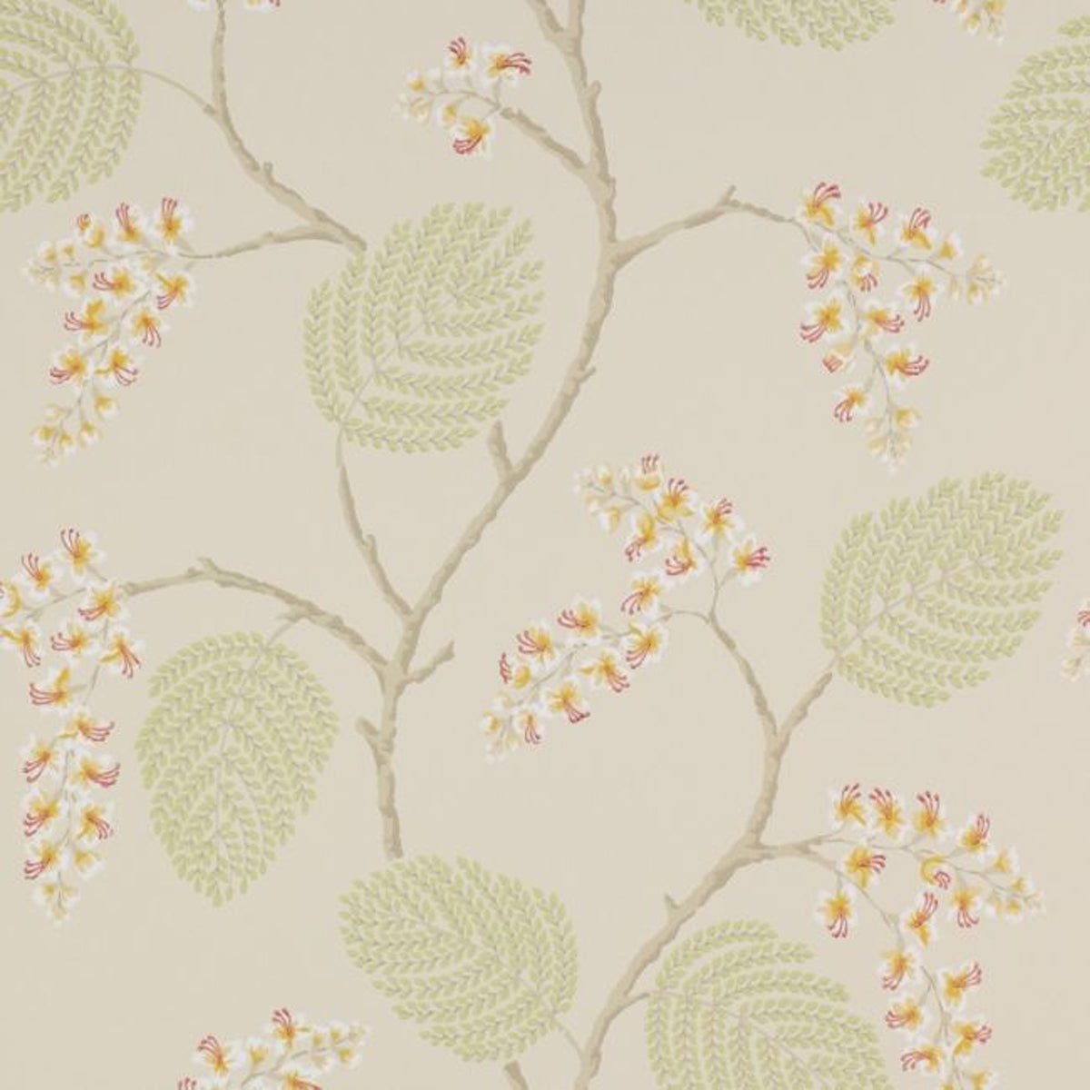 Colefax &amp; Fowler - Atwood Wallpaper