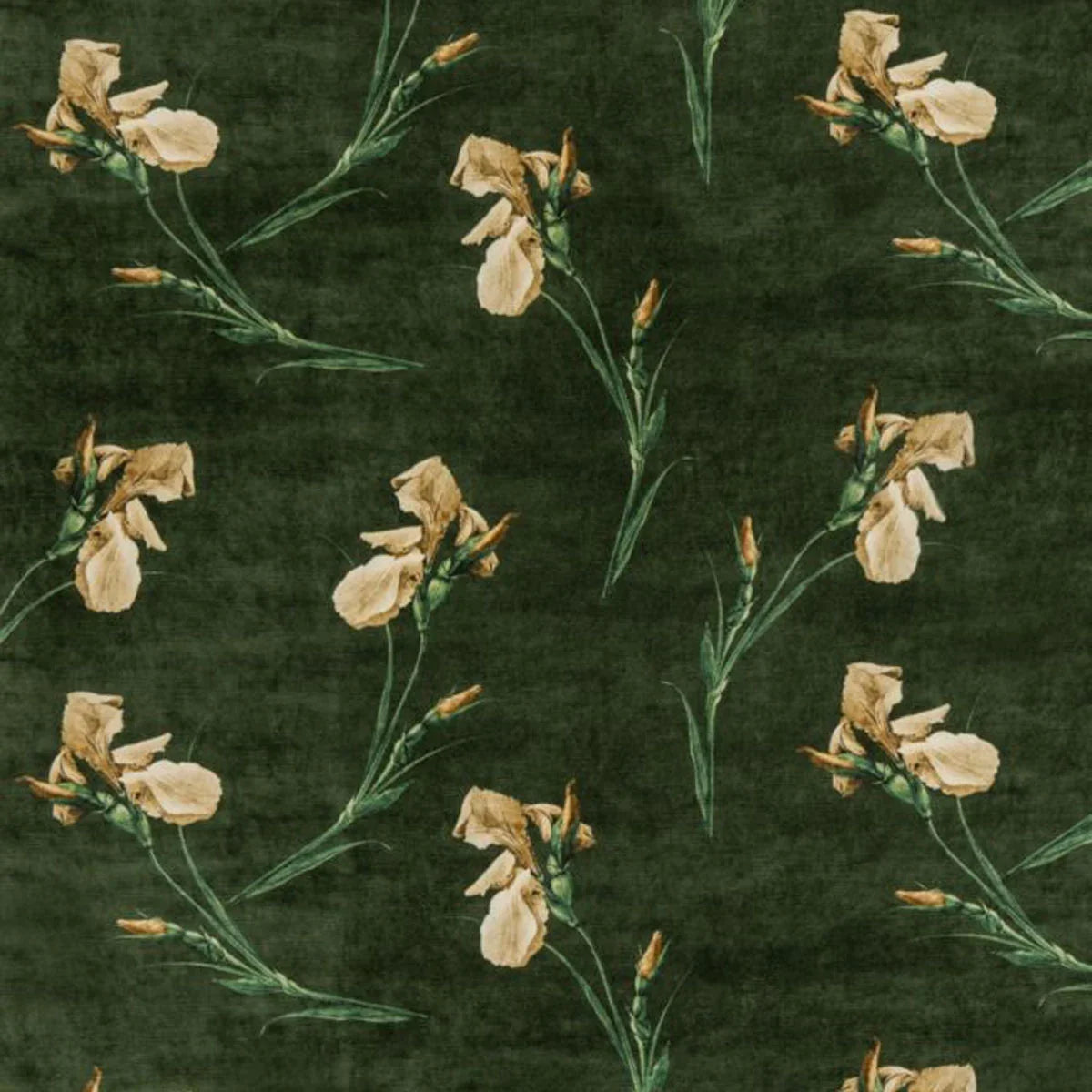 Baker Iris Fabric - GP&J Baker