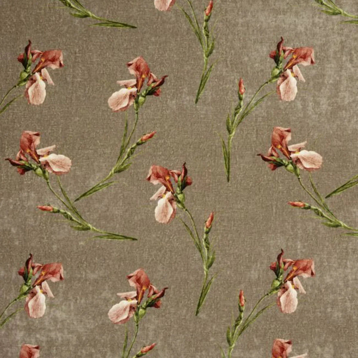 Baker Iris Fabric - GP&J Baker
