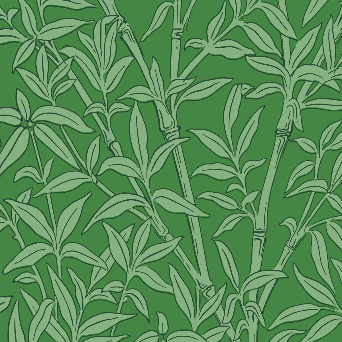 Bamboo Forest Wallpaper - Cole & Son