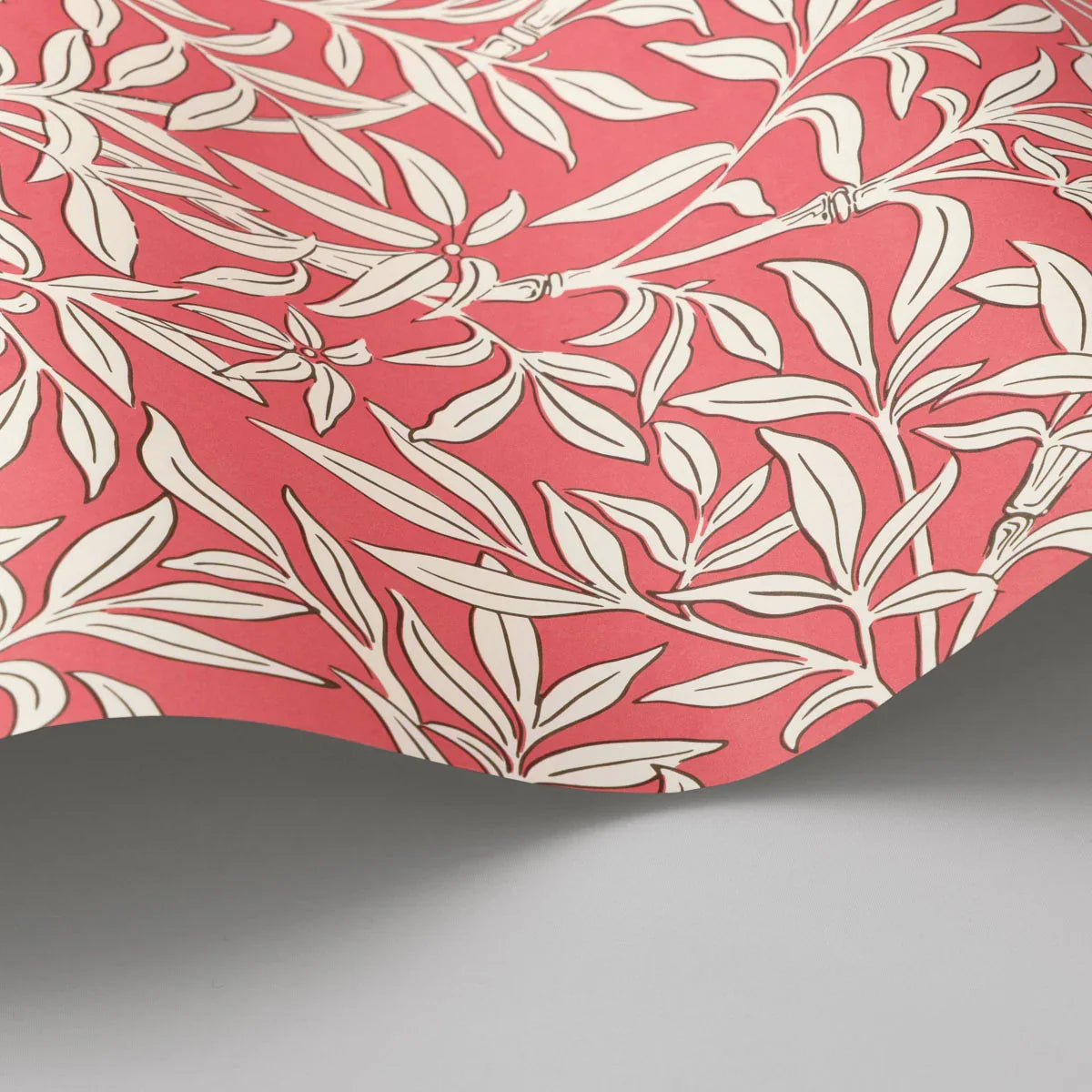 Bamboo Forest Wallpaper - Cole & Son