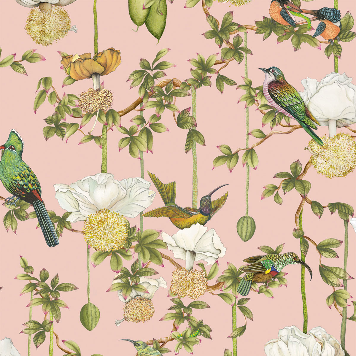 Baobab Botanica Wallpaper - Cole & Son