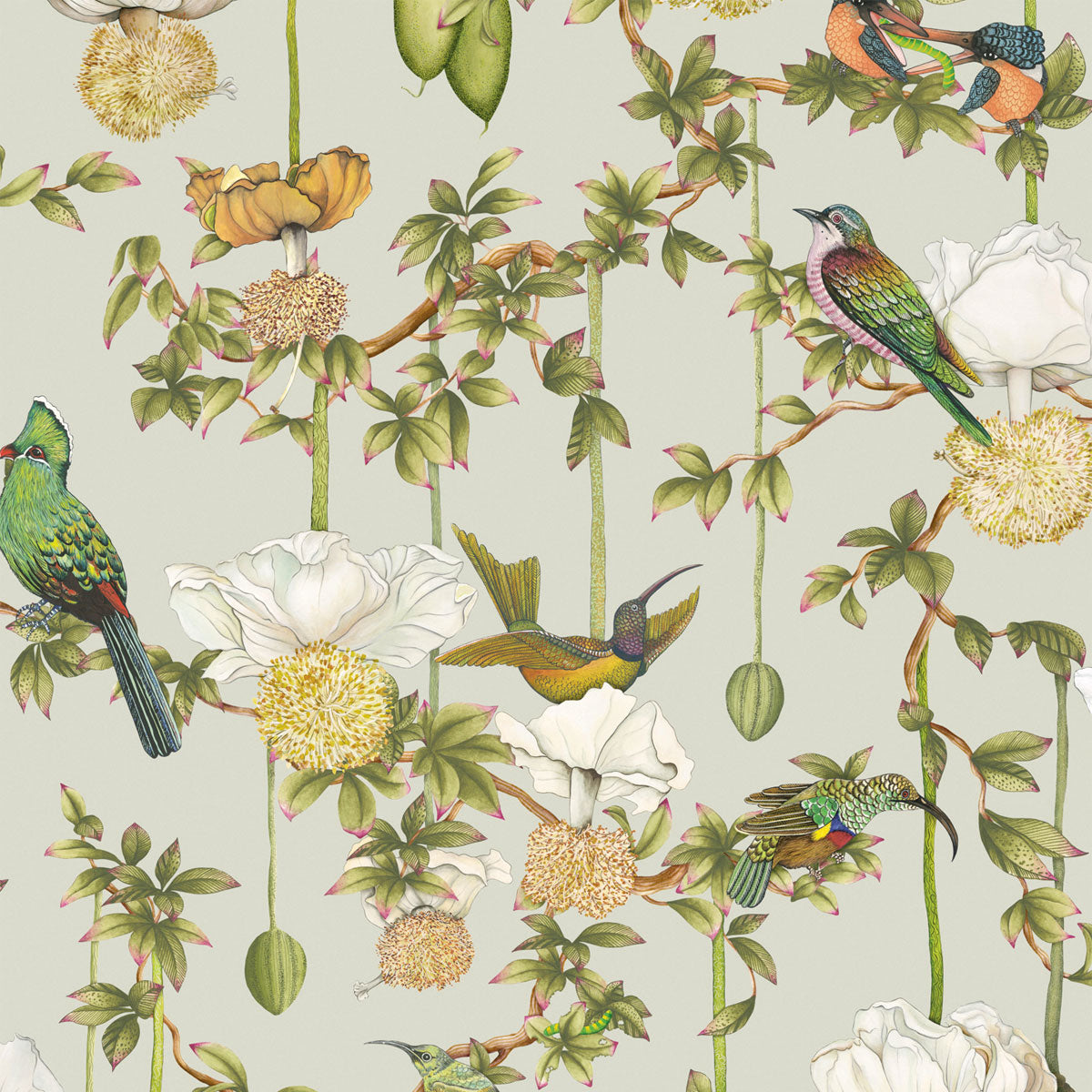 Baobab Botanica Wallpaper - Cole & Son