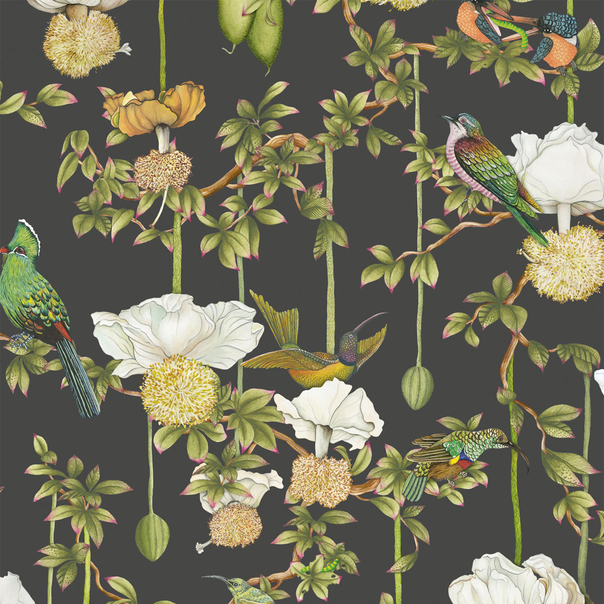 Baobab Botanica Wallpaper - Cole & Son