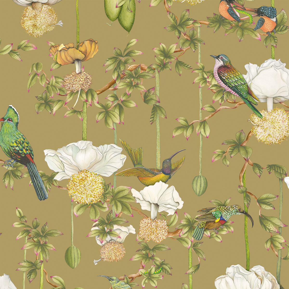 Baobab Botanica Wallpaper - Cole & Son