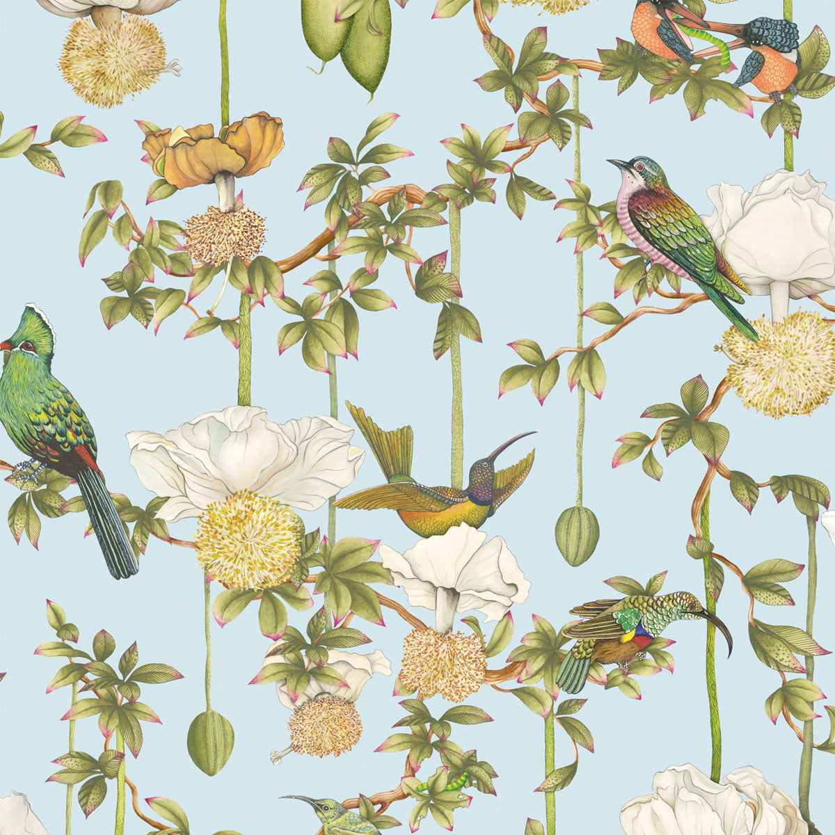 Baobab Botanica Wallpaper - Cole & Son