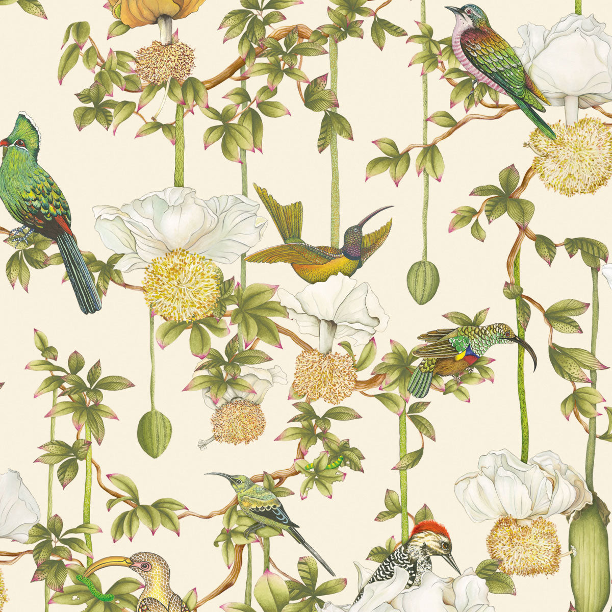 Baobab Botanica Wallpaper - Cole & Son