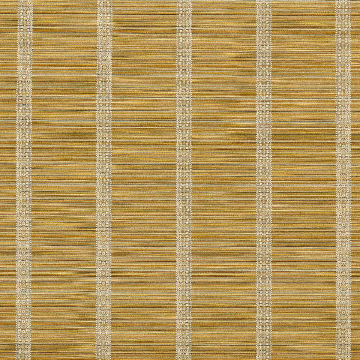 Bellagio Stripe Indoor Outdoor Fabric - Zoffany X Michael S. Smith