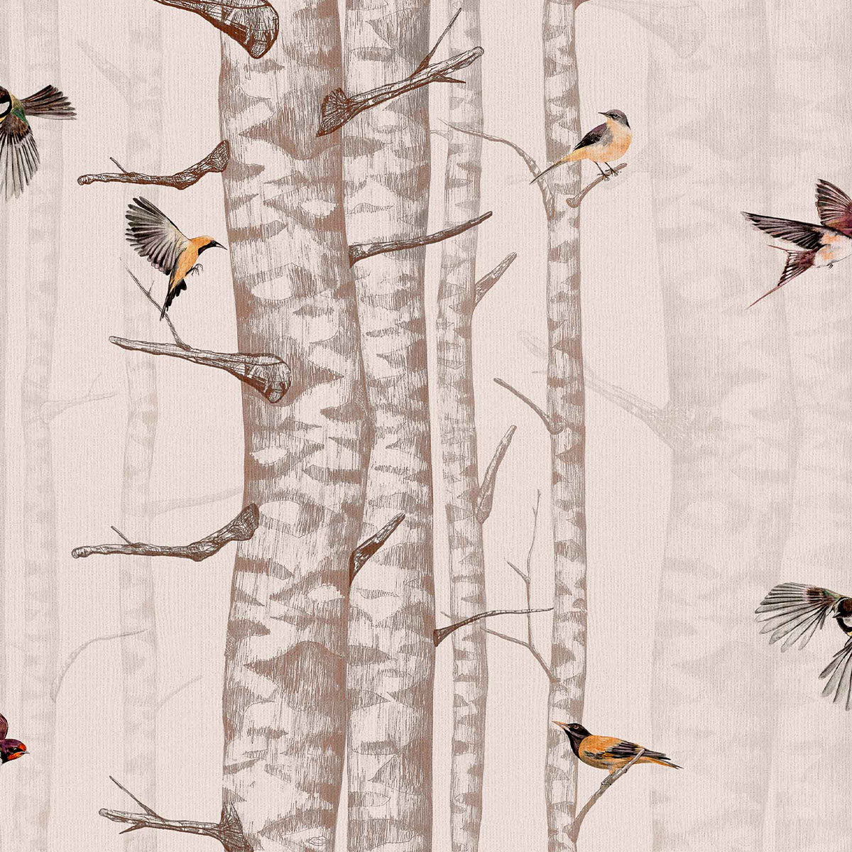 Birch Trees Wallpaper - Coordonne