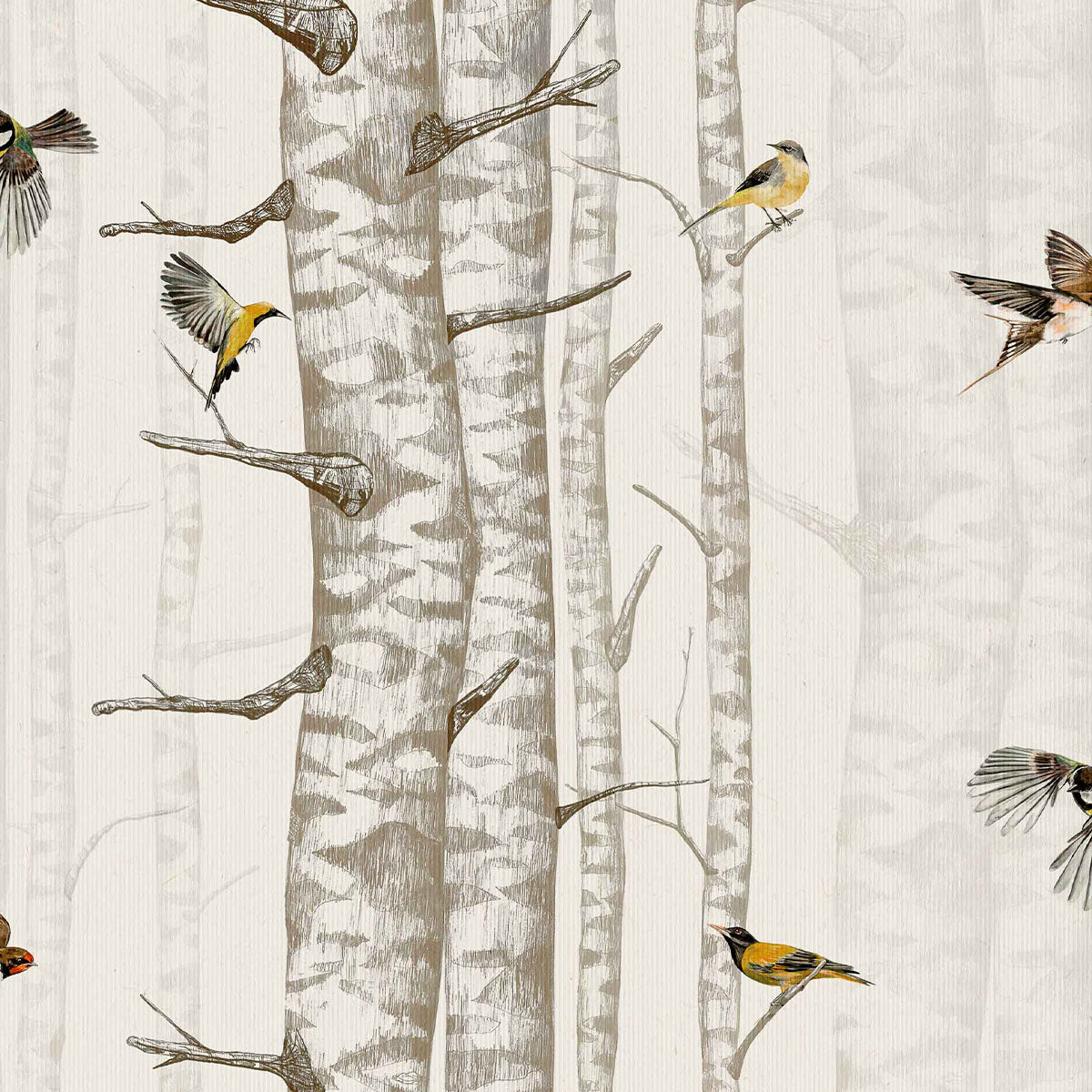 Birch Trees Wallpaper - Coordonne
