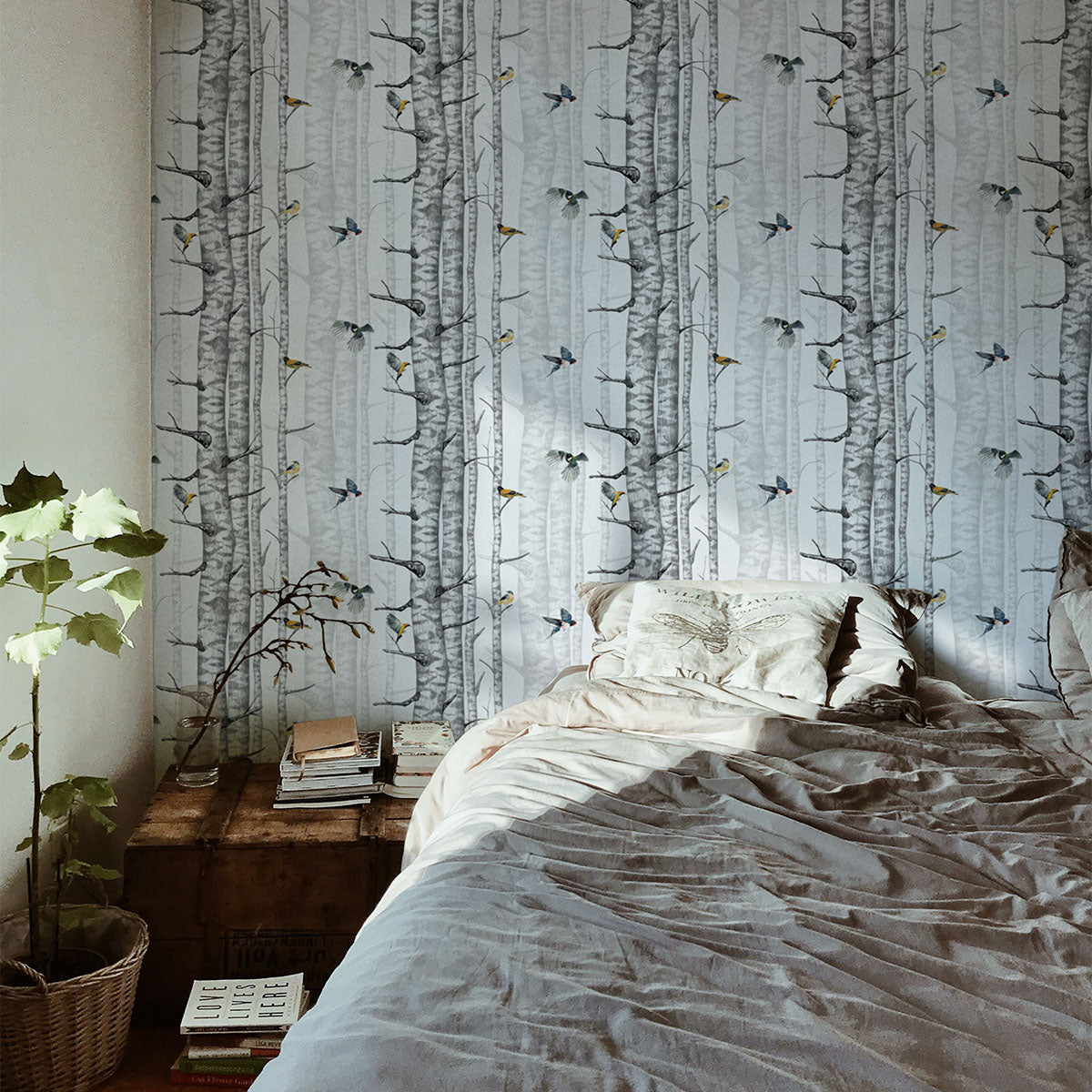 Birch Trees Wallpaper - Coordonne