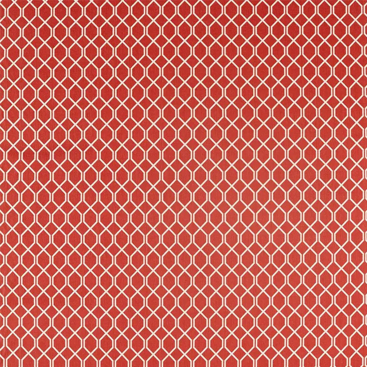 Botanic Trellis Fabric - Sanderson